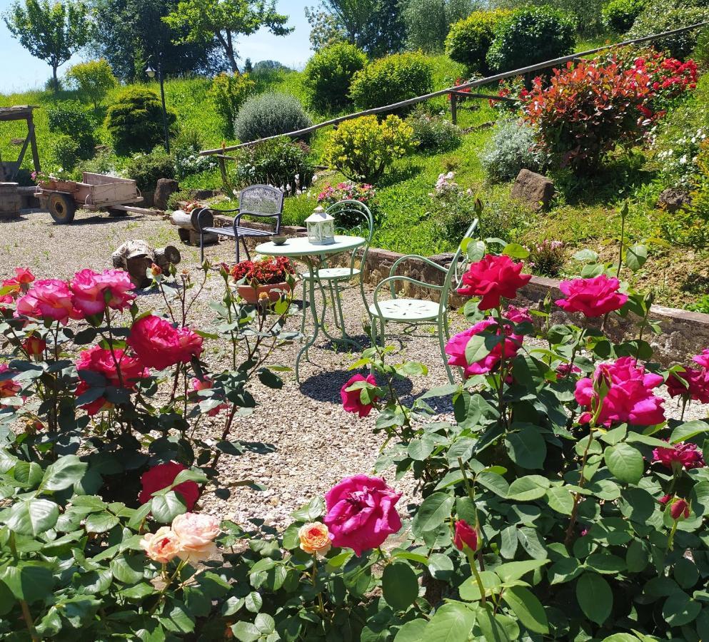 Casa Elisa Leilighet Montaione Eksteriør bilde
