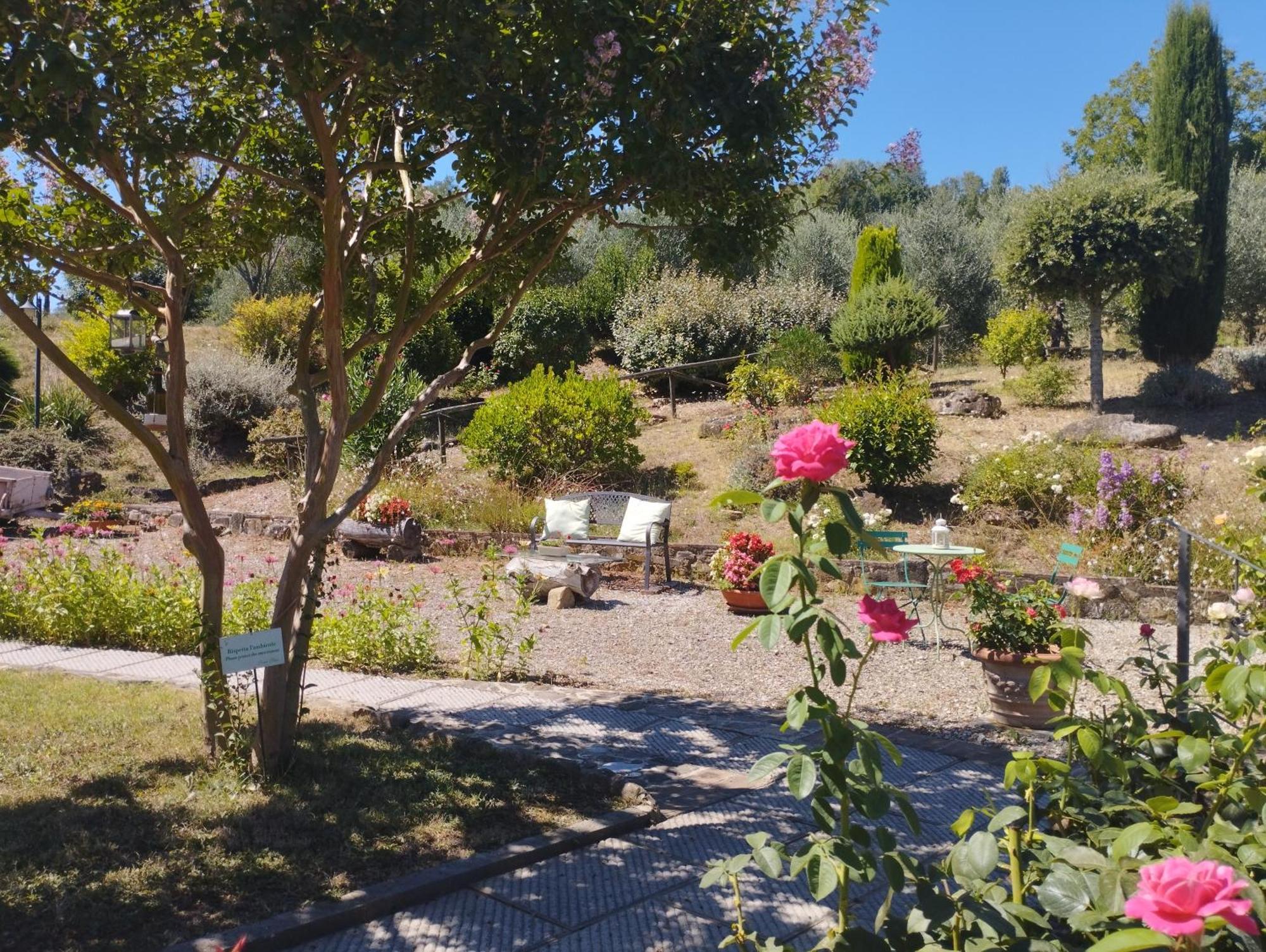 Casa Elisa Leilighet Montaione Eksteriør bilde